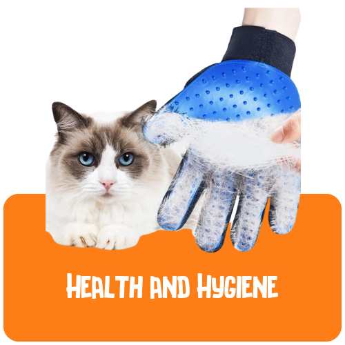 Cat Health and Hygiene