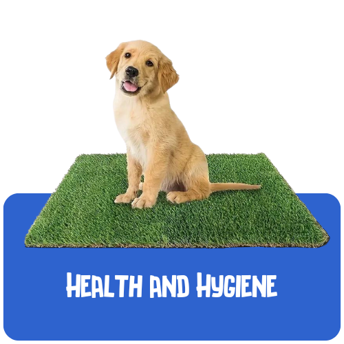 Dog Health and Hygiene