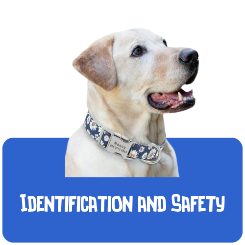 Dog Identification and Safety
